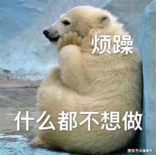 别人发个吃瓜表情我该怎么回,揭秘表情背后的故事  第3张