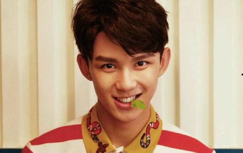 娱乐吃瓜君三石弟弟,揭秘娱乐圈背后的那些事儿  第1张