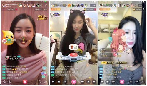 娱乐吃瓜酱考大学,娱乐吃瓜酱带你领略大学生活的多彩画卷  第1张